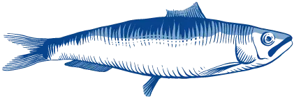 Poissonnerie Prunier Terrassier-02