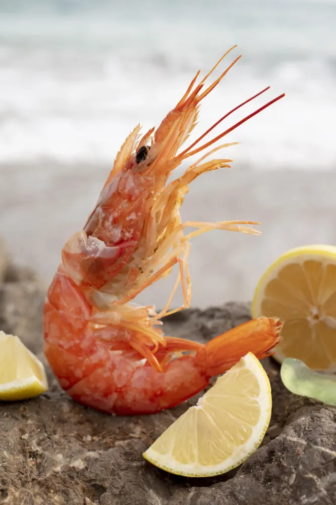 Crevettes près de Vouillé 
