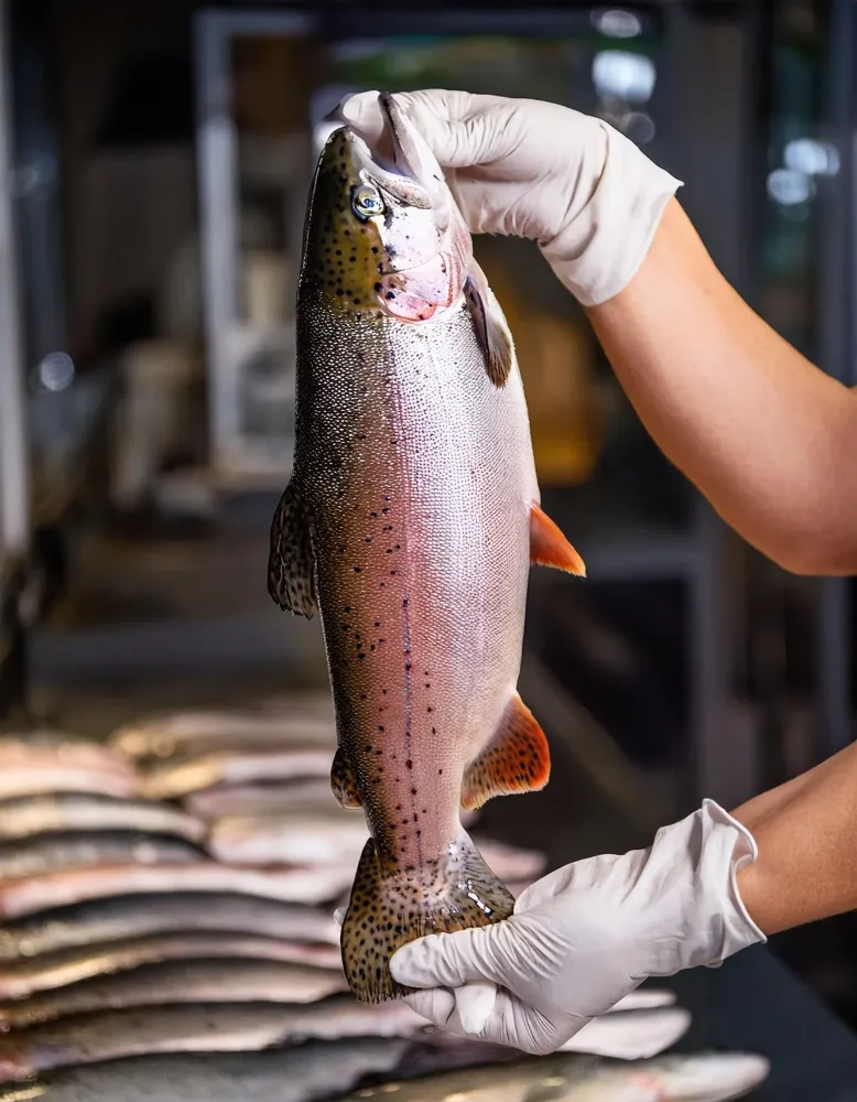 Poissonnerie près de Vouillé 