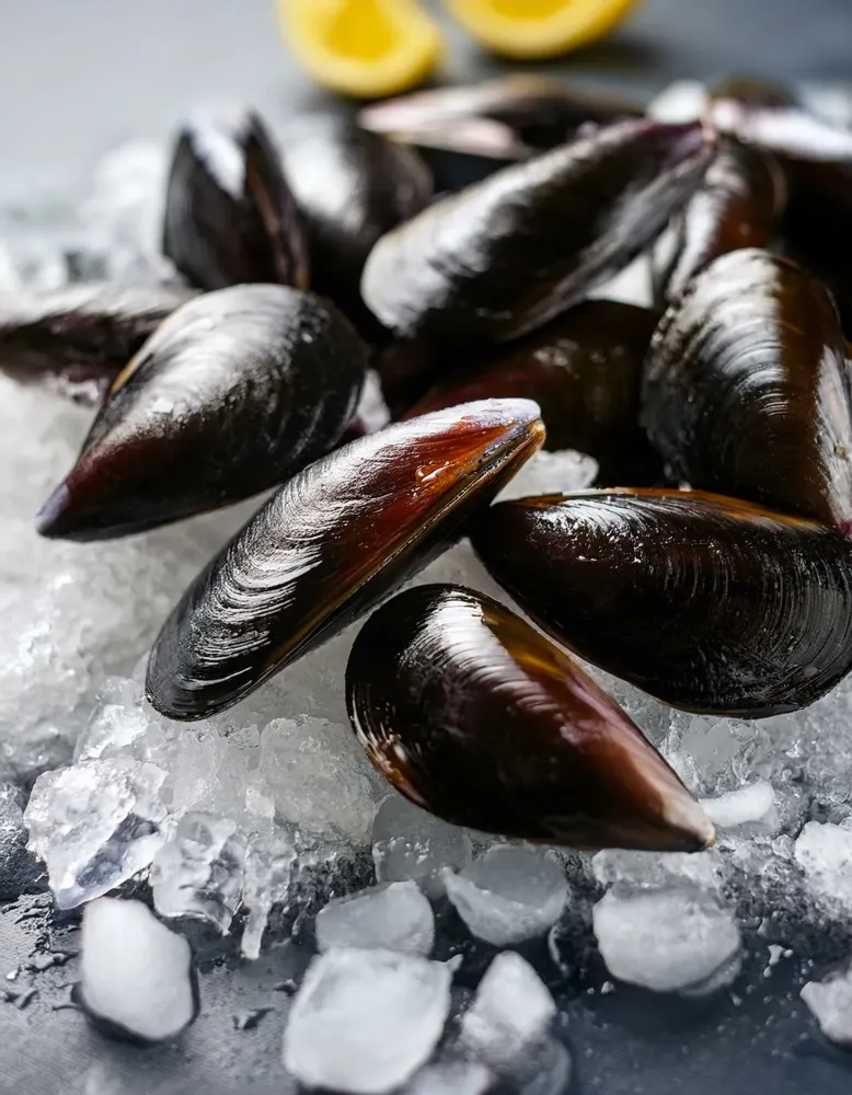 Moules (2)