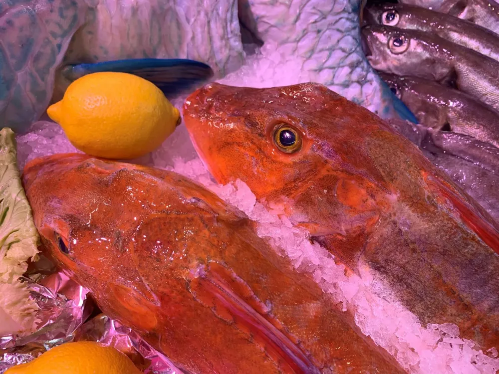 Poissonnerie Prunier Terrassier (4)