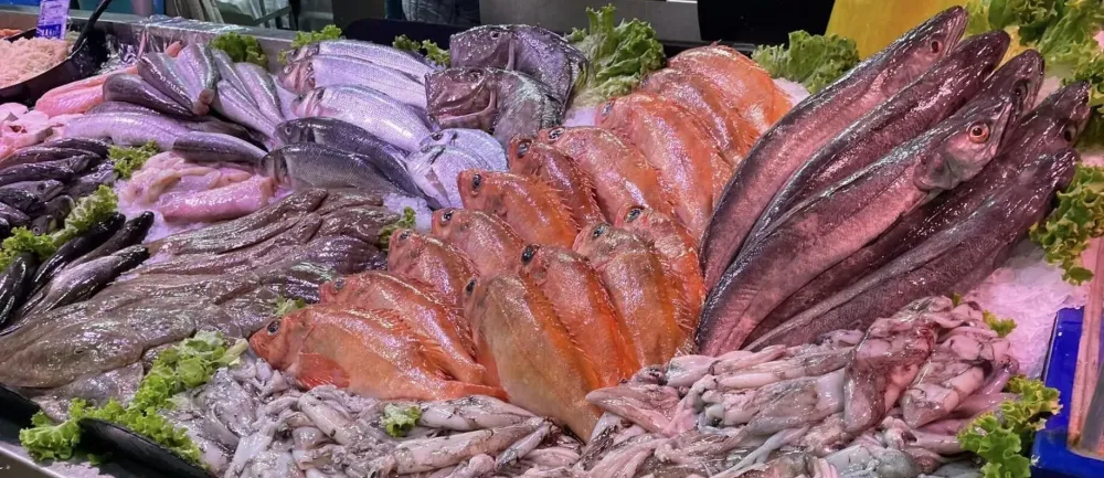 Poisson Niort