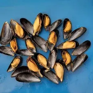 Poisson Niort