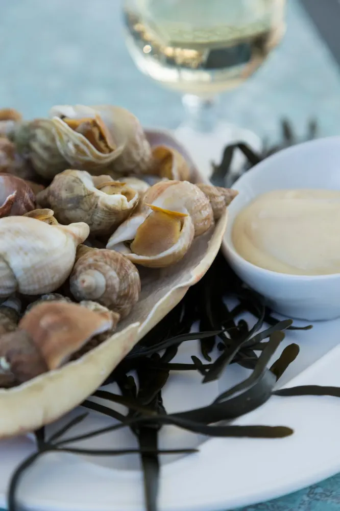 Bulots près de Vouillé 