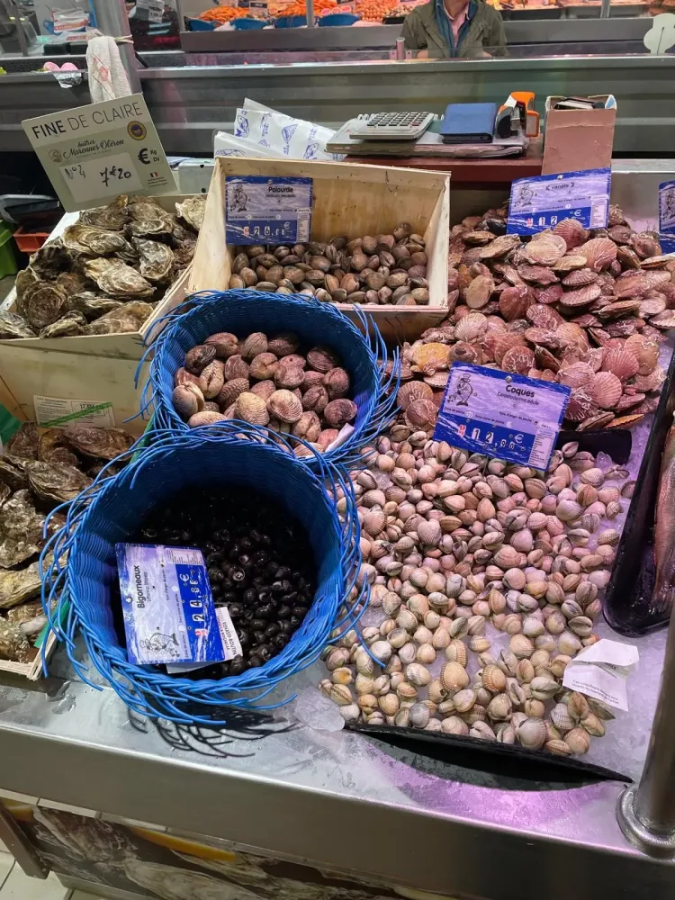 Coquillages