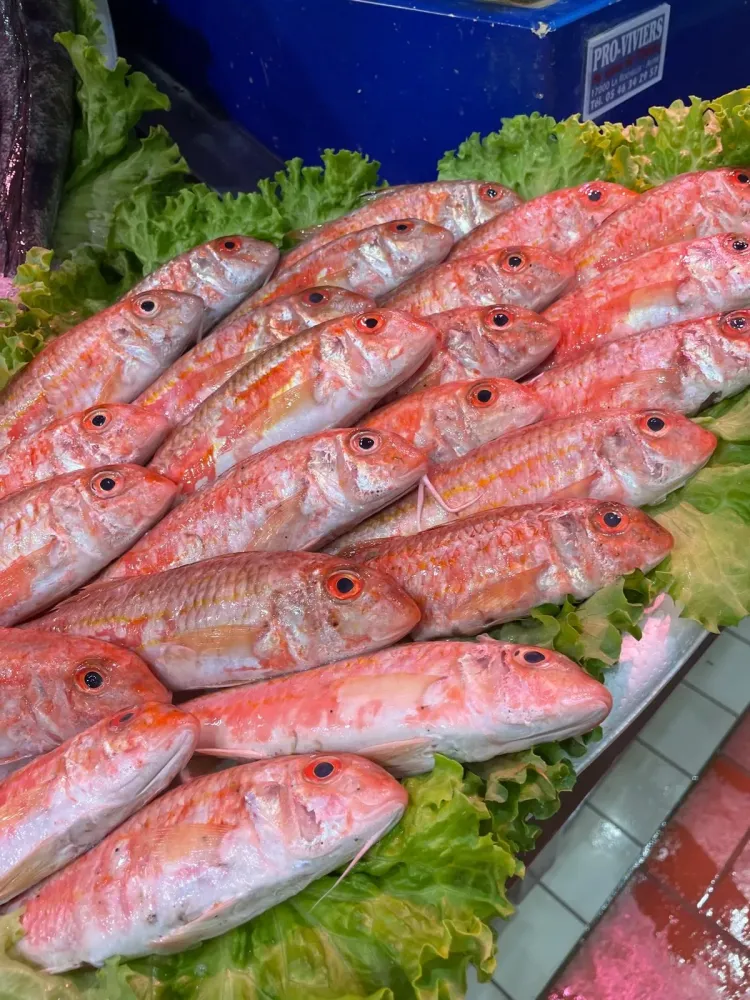 Poisson 2