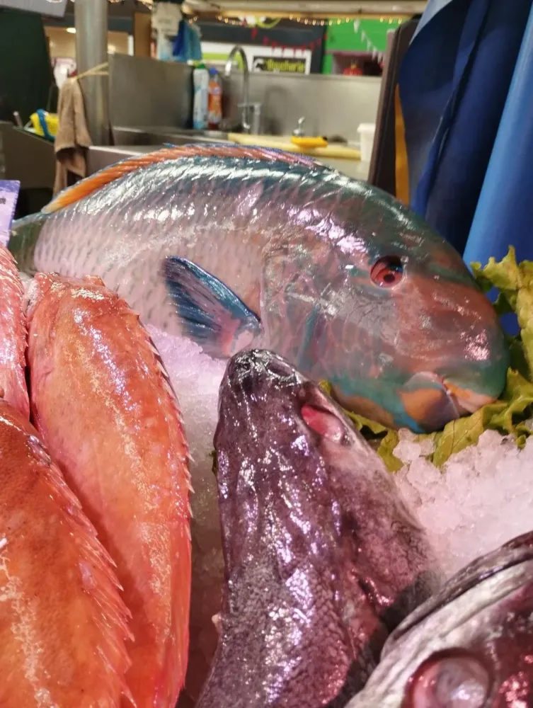 Poisson 4