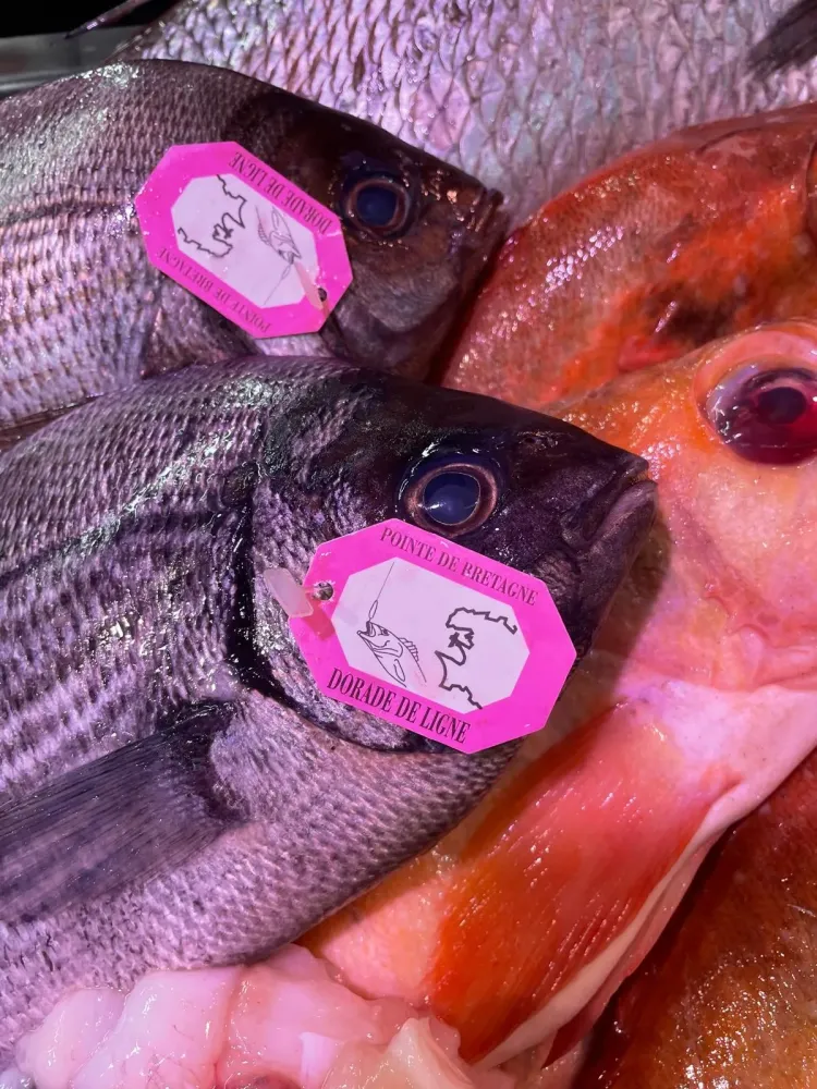Poisson 6